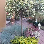 Schlossblick Apartamento *