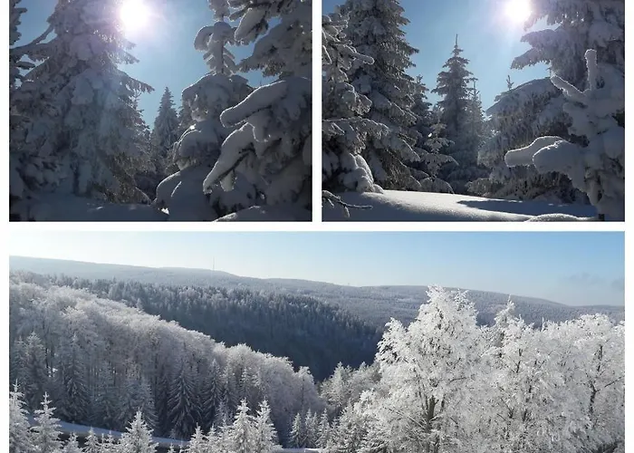 Schlossblick * Eisfeld